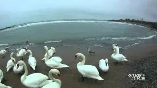 SJCAM SJ5000 Plus WiFi Action Camera Ambarella A7 video test