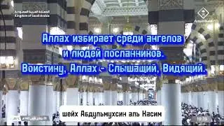 Сура Аль Хадж 73-76. Шейх Абдульмухсин аль Касим