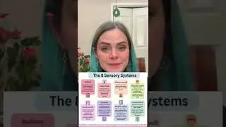 Stimming is a Nervous System Regulatory tool