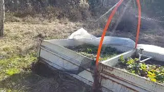 Maintaining Strawberry Plants Through The Winter
