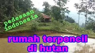 pedesaan indonesia