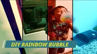 Fun and Easy Experiment: Rainbow Bubble / Percobaan Menarik di Rumah