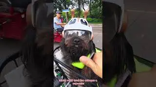 Mom put helmets 🪖 on her kids for a motorcycle ride 🏍️❤️