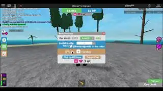 MINER'S HAVEN MAY 2017 CODES #1!!!