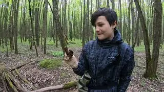 НЕВЕРОЯТНОЕ ВЕЗЕНИЕ НА КОПЕ || НАШЛИ ЗЕМЛЯНКУ!!!! ЧАСТЬ 1