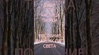 ДУША ЭТО ЧАСТЬ ТВОРЦА