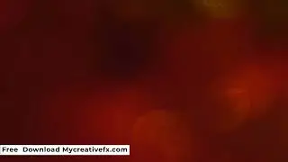 Film burn effect | Film transition |  Free Download