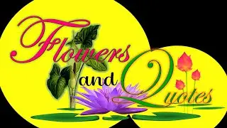 FLOWERS AND QUOTES