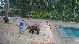 Мансурка с папой🐻💗 /Bear Mansur