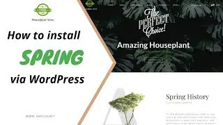 How to install SPRING Theme via WordPress with all demo data
