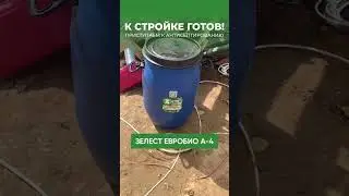 Обработка древесины антисептиком #ЗЕЛЕСТ ЕВРОБИО А-4 #shorts