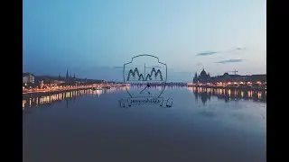 Half Lemon Dog - City Lights