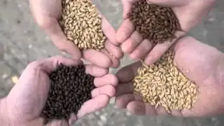 L.A. River Brewing Company. Crowd funding.