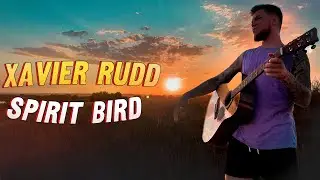 Музыка уходящего дня | Xavier Rudd - Spirit Bird Guitar