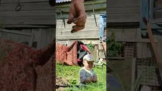 Грядки, огород