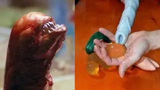Aliens Will Lay Eggs Inside You!