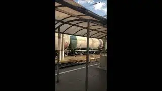 Вл80с с грузовым составом