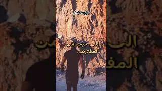 توقف عن أكل نفسك