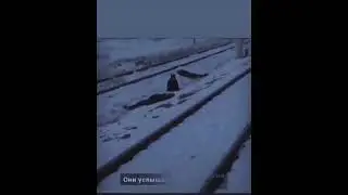 23 Февраля - День геноцида. День депортации Чеченцев