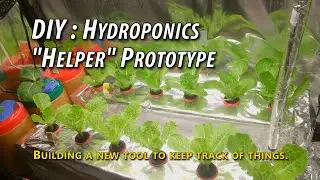 DIY: Hydroponics 