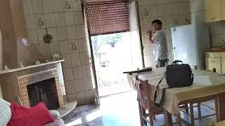 птица в доме🙃🙃🙃