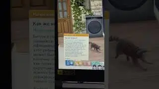 Мод тут 