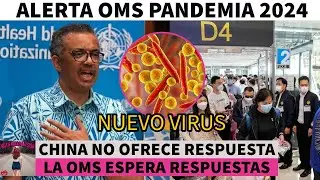 Let's Prepare for the Next Pandemic WHO Alert Crucial Lessons for a Healthy Future
