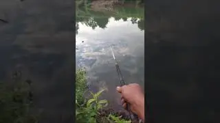 Penyegaran lagi