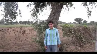 How To Climb Tree 2 Ways to climb- Choudhary