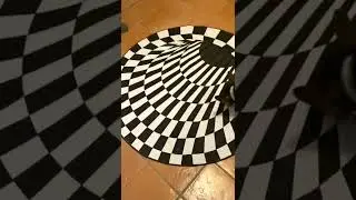 optical illusion of the carpet to doggy