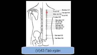 V43 Гао-хуан