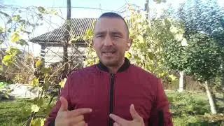 Важность наставника для быстрого выздоровления