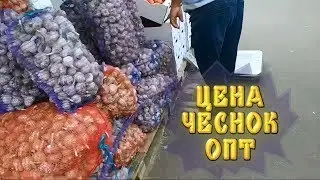Wholesale price of garlic in 2019. How we sold our garlic.
