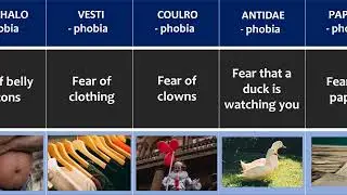 Strangest and Weirdest Phobias  - RESPECT