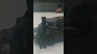 #автомобили #машины