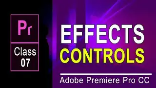How to Resize a Clip/Image in Adobe Premier Pro/ Effects Controls in Details-Urdu/Hindi