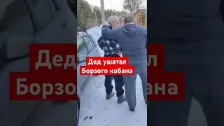 Дед ушатал борзого кабана на джипе