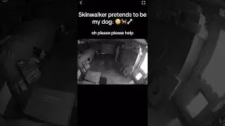 Skinwalker DISGUISED as DOG 🐕😳