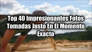 Top 40 Impresionantes Fotos Tomadas Justo En El Momento Exacto