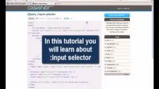 JQUERY Tutorial : jQuery input selector