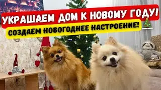 🐾Шпицы и НОВОГОДНЯЯ ЕЛКА 2024🎄 Украшаем дом к НОВОМУ ГОДУ