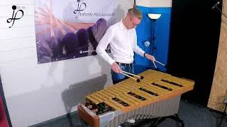 FV4 Fabian Ziegler Vibraphone Artist Series