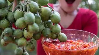 Eating Areca Palm Fruit with Salt and Chili Sauce Jin su