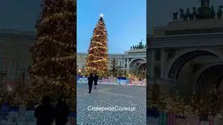 #санктпетербург #северноесолнце #питер #shorts #елка