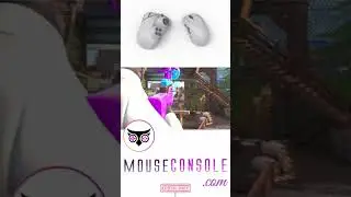 mouse controller - the best of both worlds | mouse pro controller v5