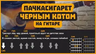 ПАЧКАСИГАРЕТ - ЧЕРНЫМ КОТОМ | разбор на гитаре | аккорды и бой