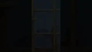 Новости Песбурга! 