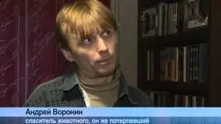 ЗООсадист