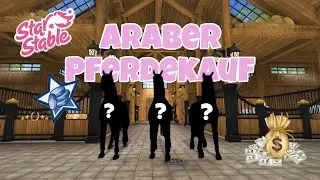 Ich kaufe 3 neue (alte) Araberpintos!?🤯💸 //Star stable online