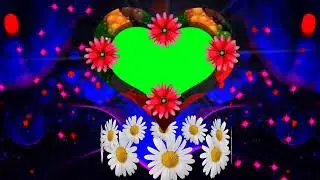 Wedding Green screen effects background video template animation 274